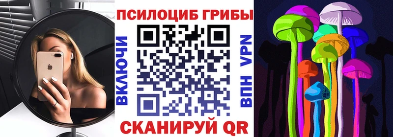 Псилоцибиновые грибы Psilocybe  Владикавказ 